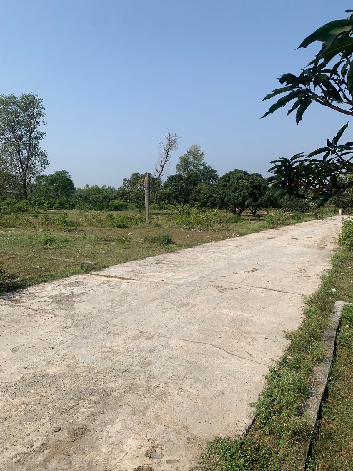 Shyam Enclave — Bhudpur (Near Shimla Bypass)