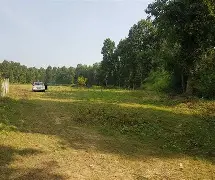 Plot