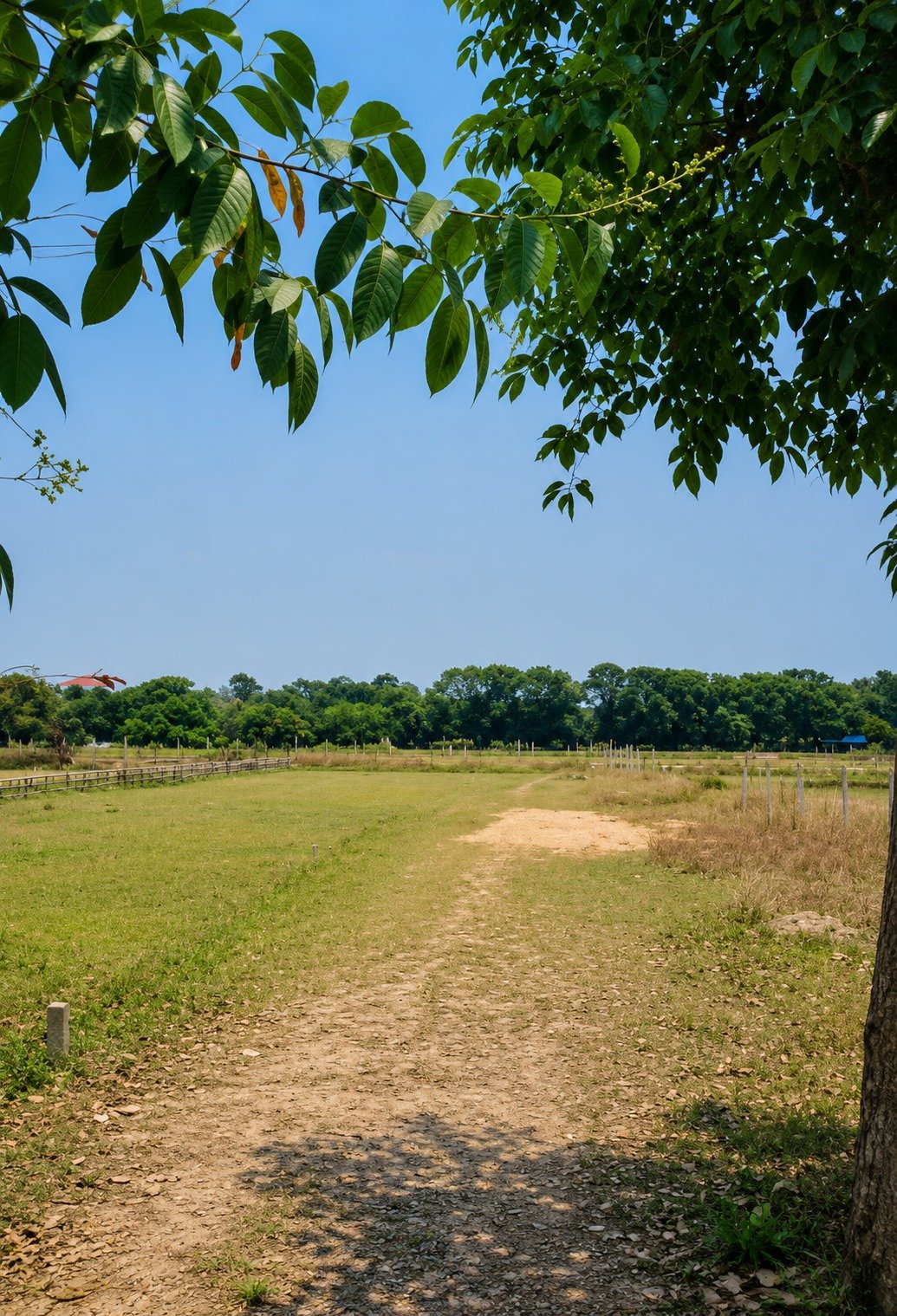 RADHA ENCLAVE